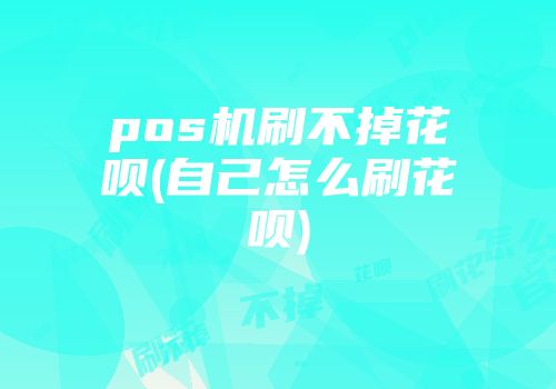 pos机刷不掉花呗(自己怎么刷花呗)